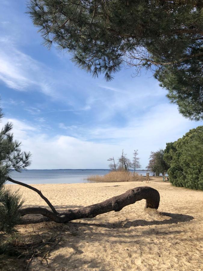Gite Au Coeur Des Landes Lue Luaran gambar